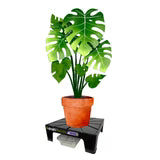 DrainMaster XL Einzelset (inkl. Wanne)