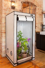 HOMEbox® Ambient Q60+ / 60x60x120 cm