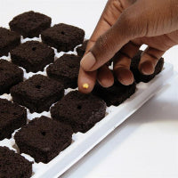 ROOT RIOT Anzuchtset