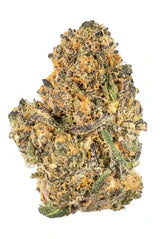 Mendo Breath - Feminisierte Samen - Indica