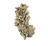 Purple Punch - Feminisierte Samen - Indica