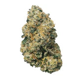 Sherbanger #22 - Feminisierte Samen - Hybrid