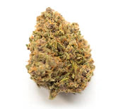 Critical - Autoflower Samen - Indica