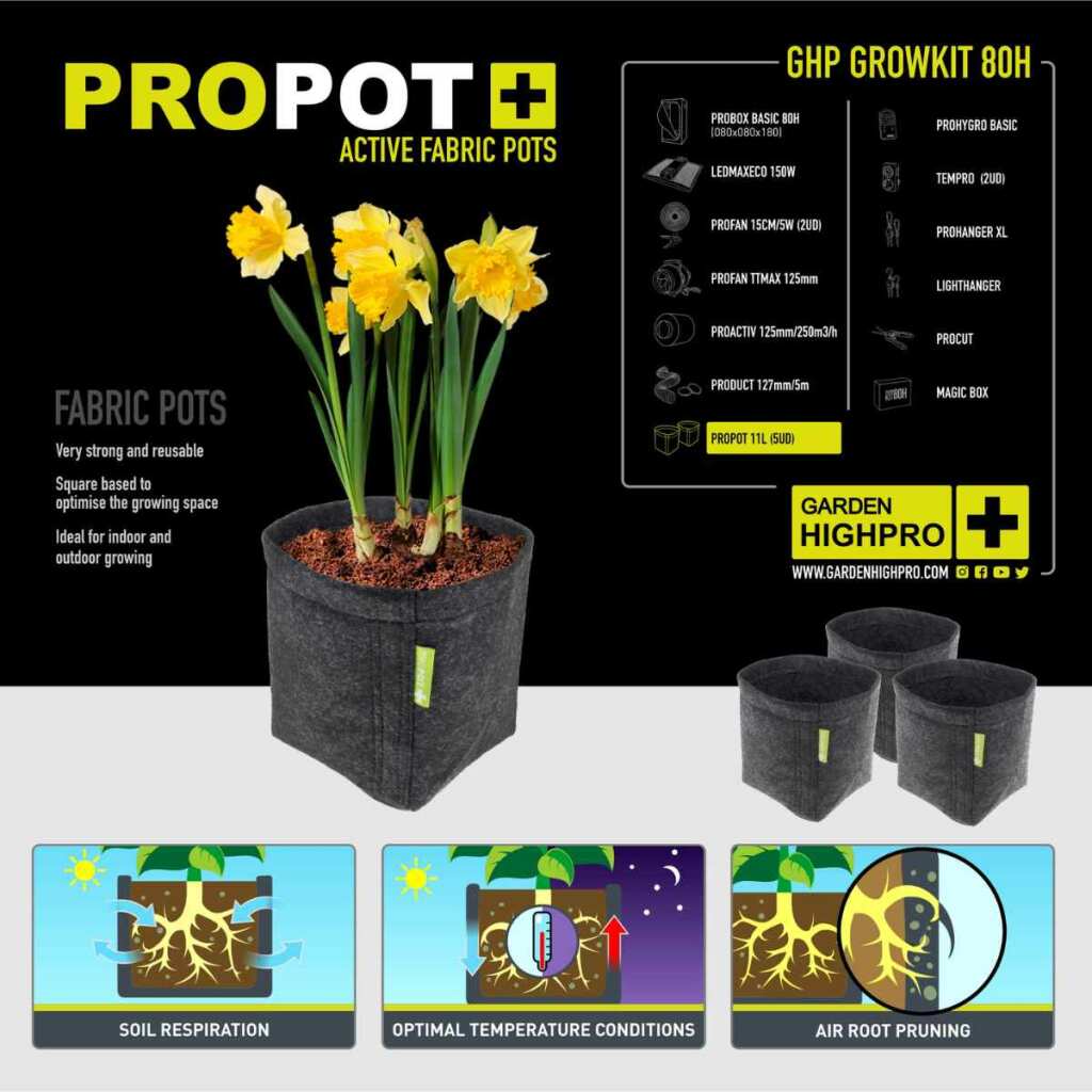 GHP - Growbox PROBOX BASIC | LED 150W | 80x80x180cm + OCB Bundle